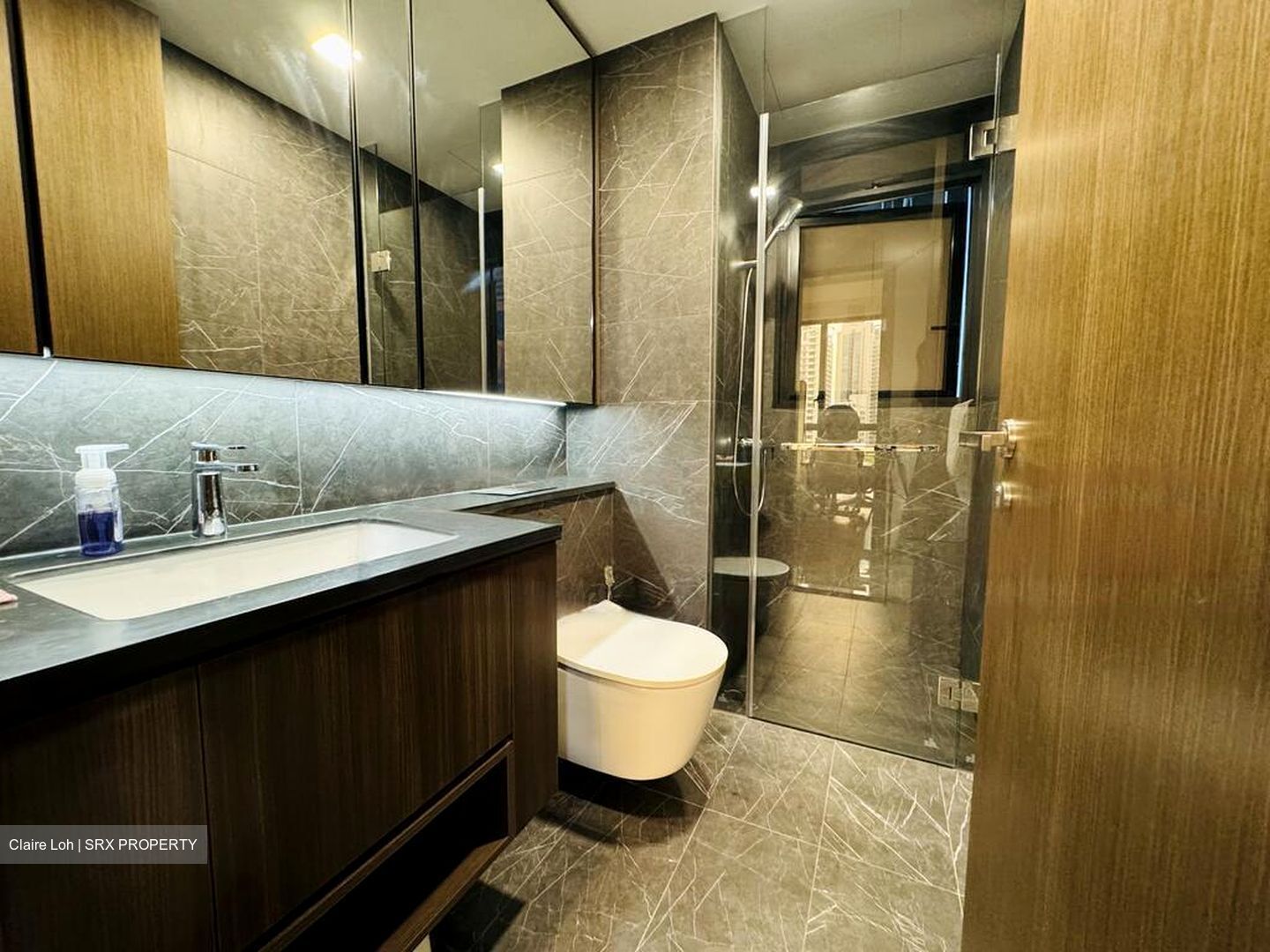 Kopar At Newton (D9), Apartment #458584821